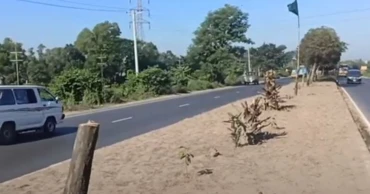 Man held for felling 50 Bakul trees on Dhaka-Chattogram highway