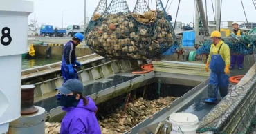Japan resumes seafood exports to China after 2 years