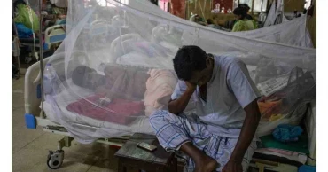21 more dengue patients hospitalised in 24hrs