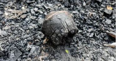 Chhayanaut building set on fire