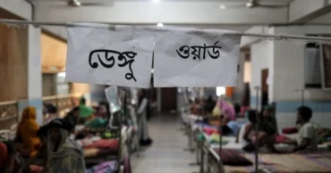 Daily dengue deaths hit year’s high of nine