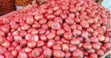 Govt to allow limited onion imports to stabilise market