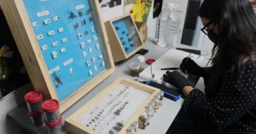 Mexico uses buried pigs and high-tech tools to search for its missing