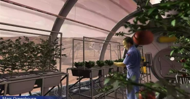 Fungi may hold the key to growing food on Mars