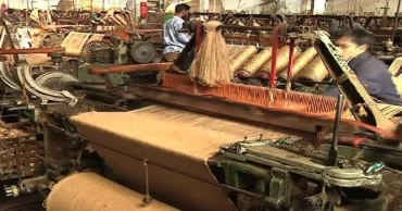 Adviser Bashir emphasizes need to enhance practical value and utility to save jute industry