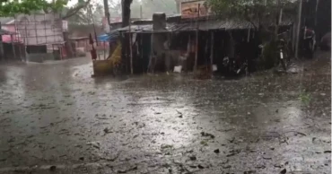 Sudden nor’wester, hailstorm in Natore threaten crops