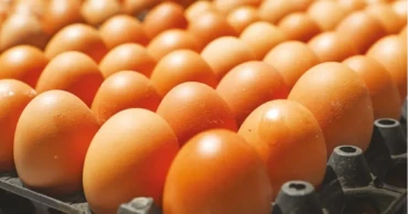 Govt permits import of 40.5 million eggs to stabilise market