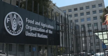 Hazards of unsafe food can be prevented by proper handling of food, better hygiene practices: FAO deputy representative  