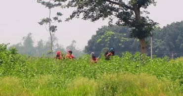 BSF takes back 12 people from Kushtia border after 3 days