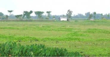 Bangladesh launches Tk 500cr project to turn haor fallow lands into productive farmland