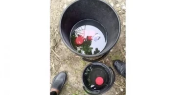 4 bomb-like objects recovered in Khulna