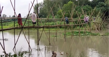 25 Manikganj villages rely on fragile bamboo bridge for daily travel