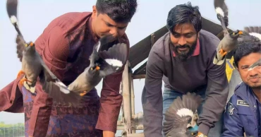 1,200 trapped birds rescued, freed in Bagerhat 