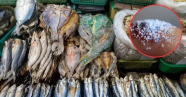 Microplastics detected in all commercially dried seafood samples in Bangladesh: Study
