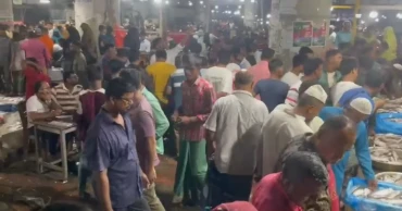 22-day ban on Hilsa: Nearly 100 tonnes of hilsa sold overnight in Faridpur