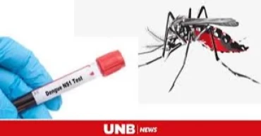 34 dengue patients hospitalised in 24hrs