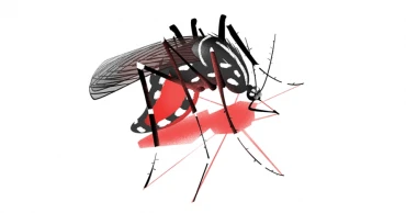 Three-day Bhutan trade fair ends on Sunday