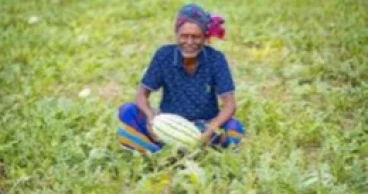 Govt to launch smart ‘Farmers Card’ on pilot basis soon: Minister Swapan