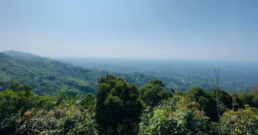 Battling ecological decline: Govt launches afforestation, climate resilience projects in CHT