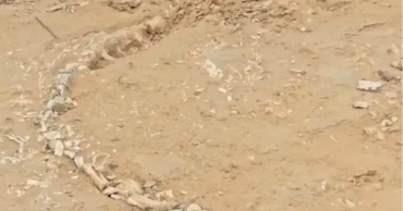 Rare Jurassic-era fossil discovered in Rajasthan village