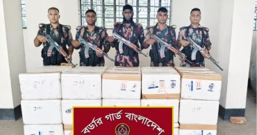 BGB seizes Tk 2cr Indian prawn fry in Habiganj