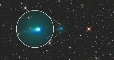 Interstellar comet makes safe flyby of Earth
