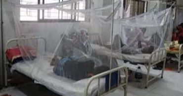 Dengue: 271 patients hospitalised in 24 hours