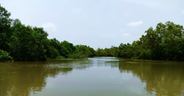 Caught between tigers and pirates; Sundarbans fishing community in fear