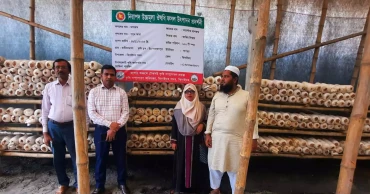 Mushroom farming transforms fortunes of Jhenaidah youth