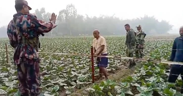 BSF ‘attempts to strengthen barbed wire fence’ with bamboo in Lalmonirhat border