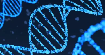 DeepMind’s AlphaGenome offers new insight into human DNA