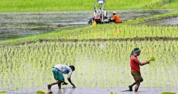 Global actors pledge to collaborate on transformation of Bangladesh agriculture