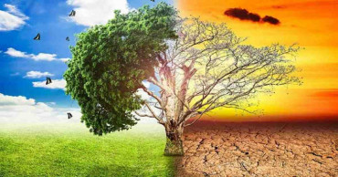 How to stop global warming? How to combat climate change in Bangladesh?