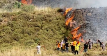 Israeli settlers attack Palestinians, burn olive trees in West Bank