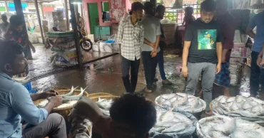 Hilsa prices remain high in Chandpur despite peak season, supply still low