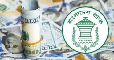 Forex reserves now $31.5bn, good to cover more than 5 months' imports