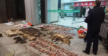 Virus renews safety concerns about slaughtering wild animals