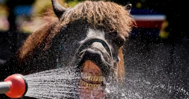 Europe sizzles under heat wave, worse ahead