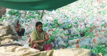 Scientists discover lesser mealworm's potential to combat plastic waste