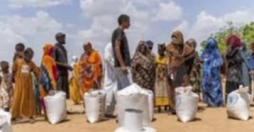 Sudanese civilians turn to wild plants for survival amid escalating hunger crisis