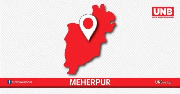 Woman killed, husband injured in Meherpur road accident