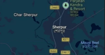 Quinquagenarian killed in Sherpur road accident