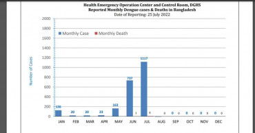 Bangladesh sees upswing in dengue: 1 more death, 60 cases reported