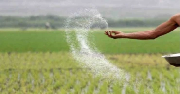 Cabinet committee approves G2G urea imports for FY27