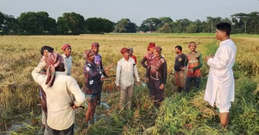 Voluntary initiative raises lightning safety awareness among Munshiganj farmers on May Day