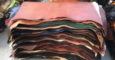 Sub-committee to be formed to address leather sector problems