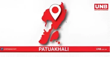 3 buffaloes die, 25 fall ill after allegedly eating poisoned grass in Patuakhali