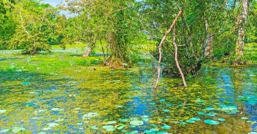 Countries in Asia and the Pacific need to work together to protect our common forest and fresh water resources