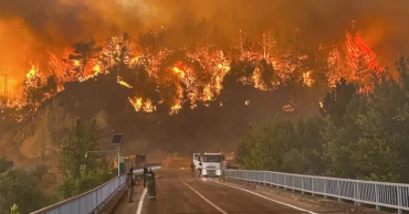 Firefighter dies as wildfires ravage Turkish forests, 14 killed in weeks