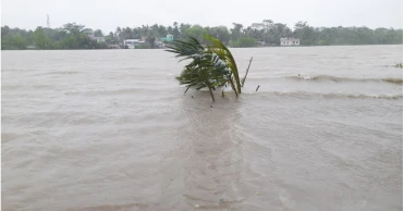 Cyclone Remal leaves trails of destruction in coastal districts; 8 deaths reported